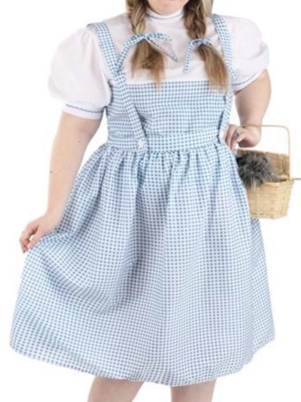 Dorothy Costume & Toto in Basket 1XL
